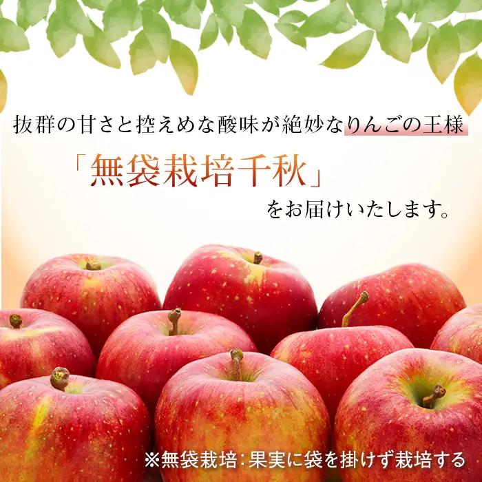 完熟りんご【千秋】約5kg