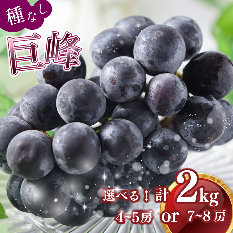 【ふるさと納税】【2025年8月中旬から発送】訳あり 種なし巨峰2kg（ 川崎町産 ）ブドウ ぶどう 果物 フルーツ デザート スイーツ 果樹園 国産 新鮮くだもの フルーツ 葡萄 朝採れ 産地直送 ご家庭 贈答 人気 ギフト 贈答 先行予約 旬 数量限定 お中元 お盆 福岡県 川崎町