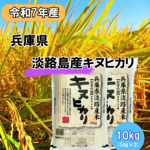 令和7年産 兵庫県淡路島産米 キヌヒカリ 10kg（5kg×2） 兵庫県 洲本市 淡路島