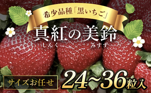 
            【先行予約】【2025年12月中旬より順次発送】希少品種 黒いちご 真紅の美鈴 サイズお任せ 24粒～36粒 SMAN014
          