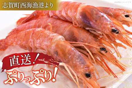 【期間限定発送】 甘エビ 冷蔵 400g