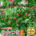 【ふるさと納税】2025年出荷分 先行予約JGAP認証 福島県産 あかつき 大玉 約2kg 2025年7月下旬〜2025年8月上旬発送 先行予約 予約 伊達の桃 桃 もも モモ 果物 くだもの フルーツ 名産品 国産 食品 F20C-587