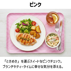 TATSU-CRAFT マグネットトレー SS 21.5cm チェック PK ピンク すべり止め付き ［Tk1052］