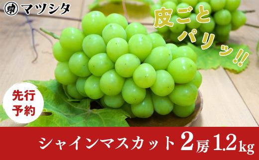先行予約 シャインマスカット 2房 約1.2kg 令和8年度 新潟県 三条市産 ぶどう [マツシタ]【020S061】