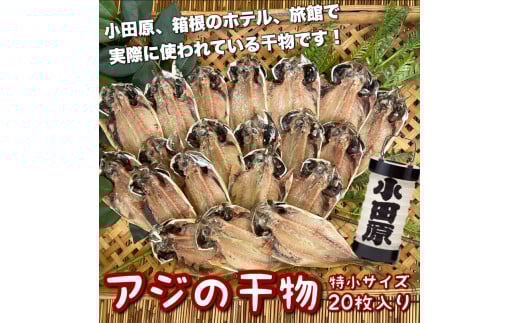 鯵の干物 特小サイズ 20枚セット