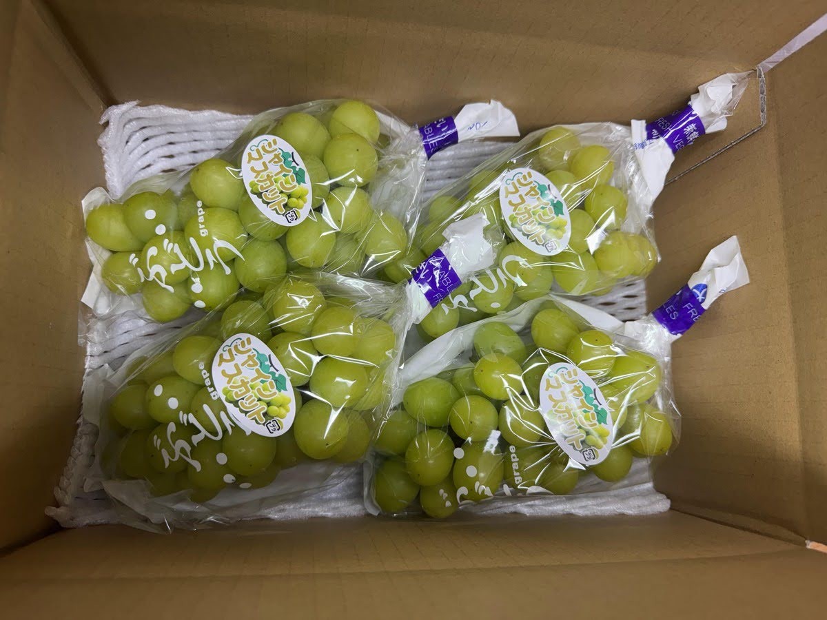 
                  丸木屋農園　シャインマスカット　ご家庭用約1.8kg
                