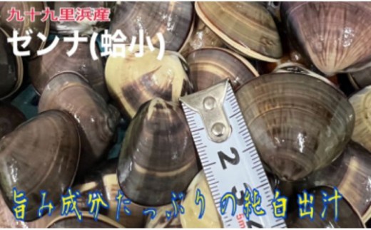 
うま味が濃い純白出汁の天然”ゼンナ”冷凍（蛤小）2kg入り[№5743-0391]
