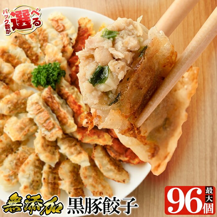 【ふるさと納税】＜パック数が選べる＞鹿児島黒豚「短鼻豚」無添加餃子セット(計48個〜96個・1P12個入)国産 豚肉 野菜 ぎょうざ ギョーザ ギョウザ 惣菜 おかず 冷凍 安心【鹿児島ますや】