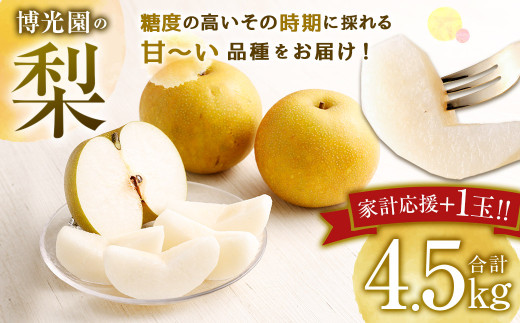 【家計応援】【数量限定】梨 4.5kg+1玉 【2025年9月下旬-12月下旬発送予定】 豊水 20世紀 新高 新興 果物 フルーツ