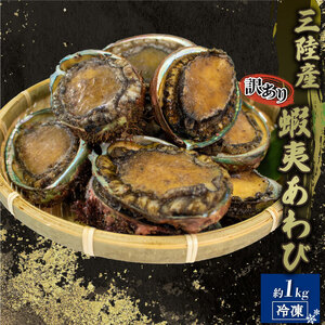 訳あり 蝦夷あわび 約1kg 冷凍 あわび