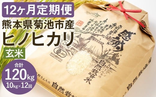 【通常パッケージ】【定期便12ヶ月】令和7年産 七城物語 高野さんちの 自然栽培米 （玄米） 10kg （2.5kg×4パック）  合計120kg お米 米 玄米 ヒノヒカリ