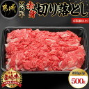 【ふるさと納税】宮崎牛赤身切り落とし500g - 国産黒毛和牛 ブランド牛 牛肉 宮崎牛切落とし肉 500グラムパック 肉じゃが/すきやき/牛丼や炒め物などに 万能 beef 冷凍 国産/九州産/宮崎県産 送料無料 AA-8908【宮崎県都城市は2年連続ふるさと納税日本一！】