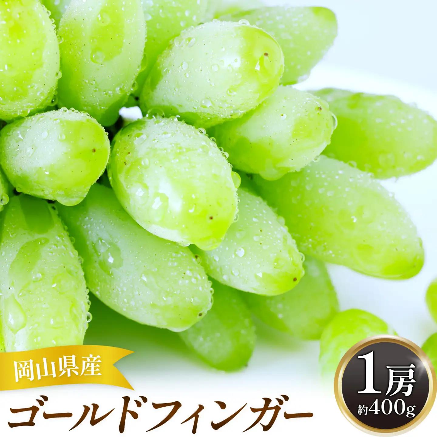 【2027年発送先行予約】岡山県産 ゴールドフィンガー 1房 約400g【配送不可地域：離島】