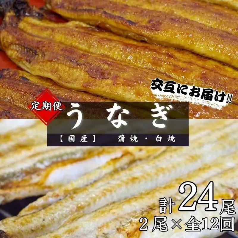 【12カ月定期便】【交互にお届け】国産うなぎ蒲焼 (2本) タレ付×6回　国産うなぎ白焼 (2本) 醤油・わさび付き×6回 / 定期便 毎月お届け 和歌山 田辺市 国産 国産うなぎ 国産鰻 うなぎ 鰻 鰻丼 うな丼 土用の丑の日 【ots032-tk】
