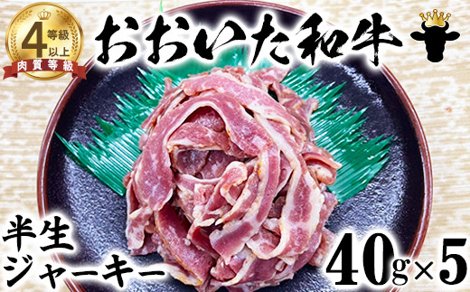 
            おおいた和牛 半生ジャーキー（40g×5）【ニード牧場】 お楽しみ 黒毛和牛 豊後牛 牛肉 お肉 人気 国産 ＜129-003_5＞
          
