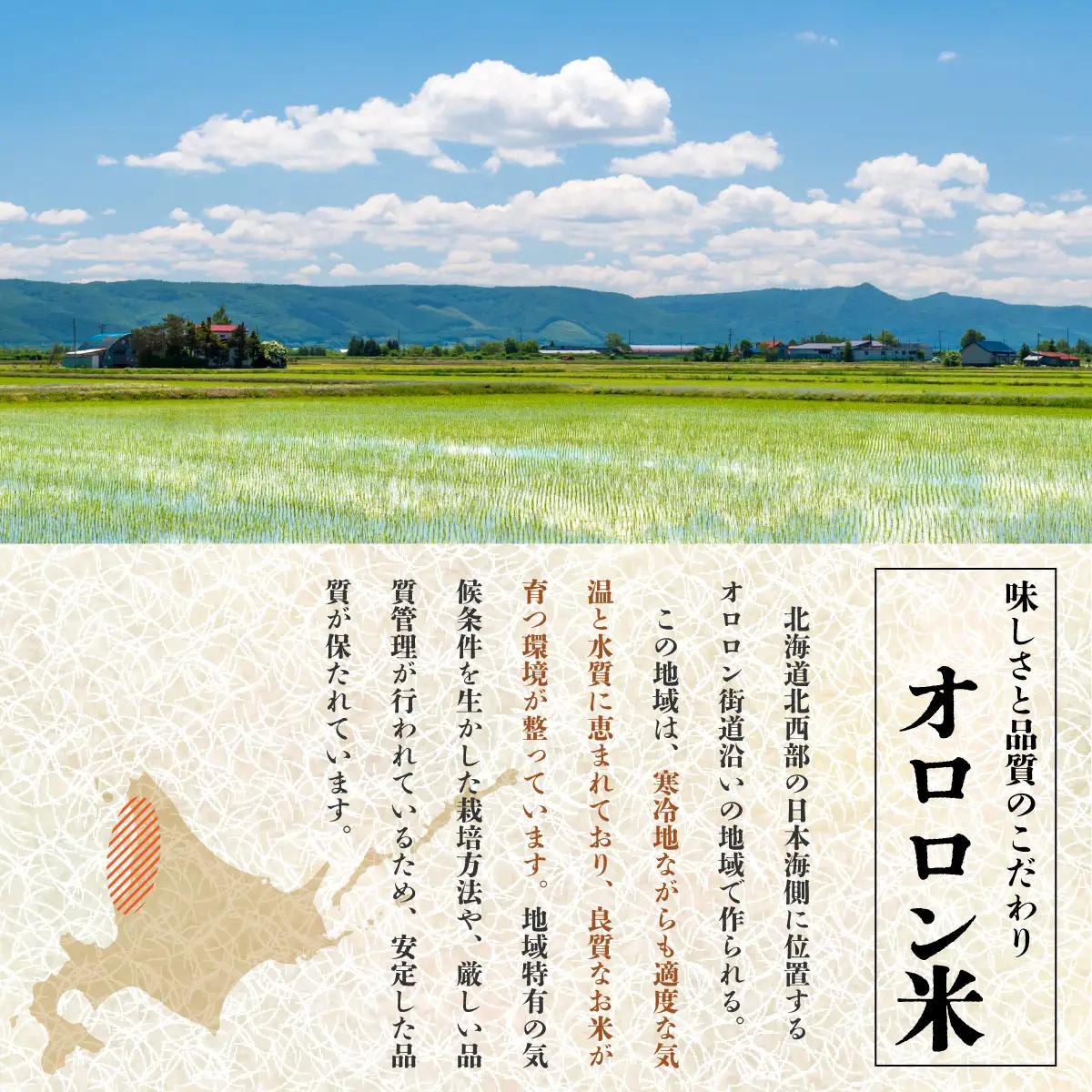 【日本最北のもち米生産地からお届け】　はくちょうもち（１０ｋｇ）【令和７年産新米】