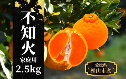 【不知火】家庭用 約2.5kg ＜2025年2月末～4月頭頃発送＞