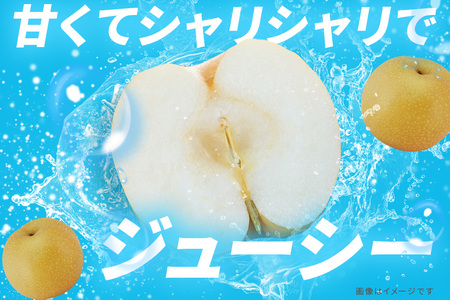 【先行販売/8月中旬から発送】 幸水 梨 ちょっとだけ訳あり 5kg箱 10～16個入 (アカツファーム)  ナシ なし 幸水梨 箱 訳あり 訳アリ 産地 茨城  笠間  完熟 甘い 秋 旬 果物 フ