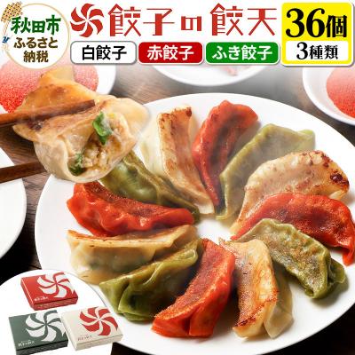 ふるさと納税 秋田市 【3種餃子36個詰合せ】餃子の餃天 白餃子、赤餃子、ふき餃子|15_ggt-013601