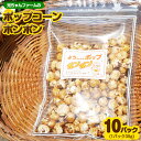 【ふるさと納税】ポップコーンポンポン 元ちゃんファーム《30日以内に出荷予定(土日祝除く)》 和歌山県 紀の川市 トウモロコシ 菓子 ポップコーン 送料無料