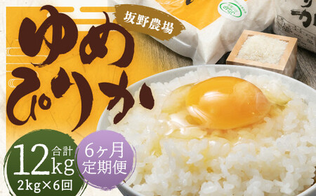 【2026年10月上旬発送開始予定】【6ヶ月定期便】らんこし米 ゆめぴりか約2kg