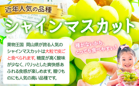シャインマスカット訳あり約500g【配送不可地域あり】