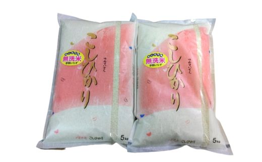 No.2499大文字屋米穀店【令和6年産 新米先行受付】コシヒカリ精米（無洗米）1等米 10kg