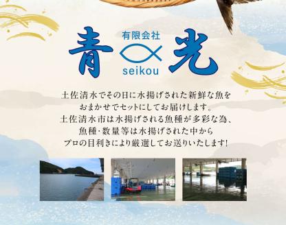 【10回定期便】季節の鮮魚 おまかせお楽しみセット（20万円ダイヤモンドコース）天然魚 食べ比べ 魚介類 海鮮料理【J00051】