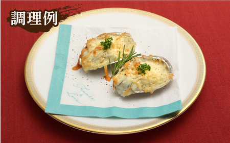 【全6回定期便】上五島産養殖ひとくちアワビ 活 厳選 20個 刺身 ステーキ 生[RAE007] アワビ あわび 定期便 アワビ あわび 定期便 アワビ あわび 定期便九州 長崎