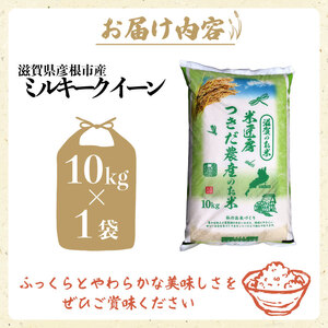 令和7年産 ミルキークイーン 白米 10kg 新米