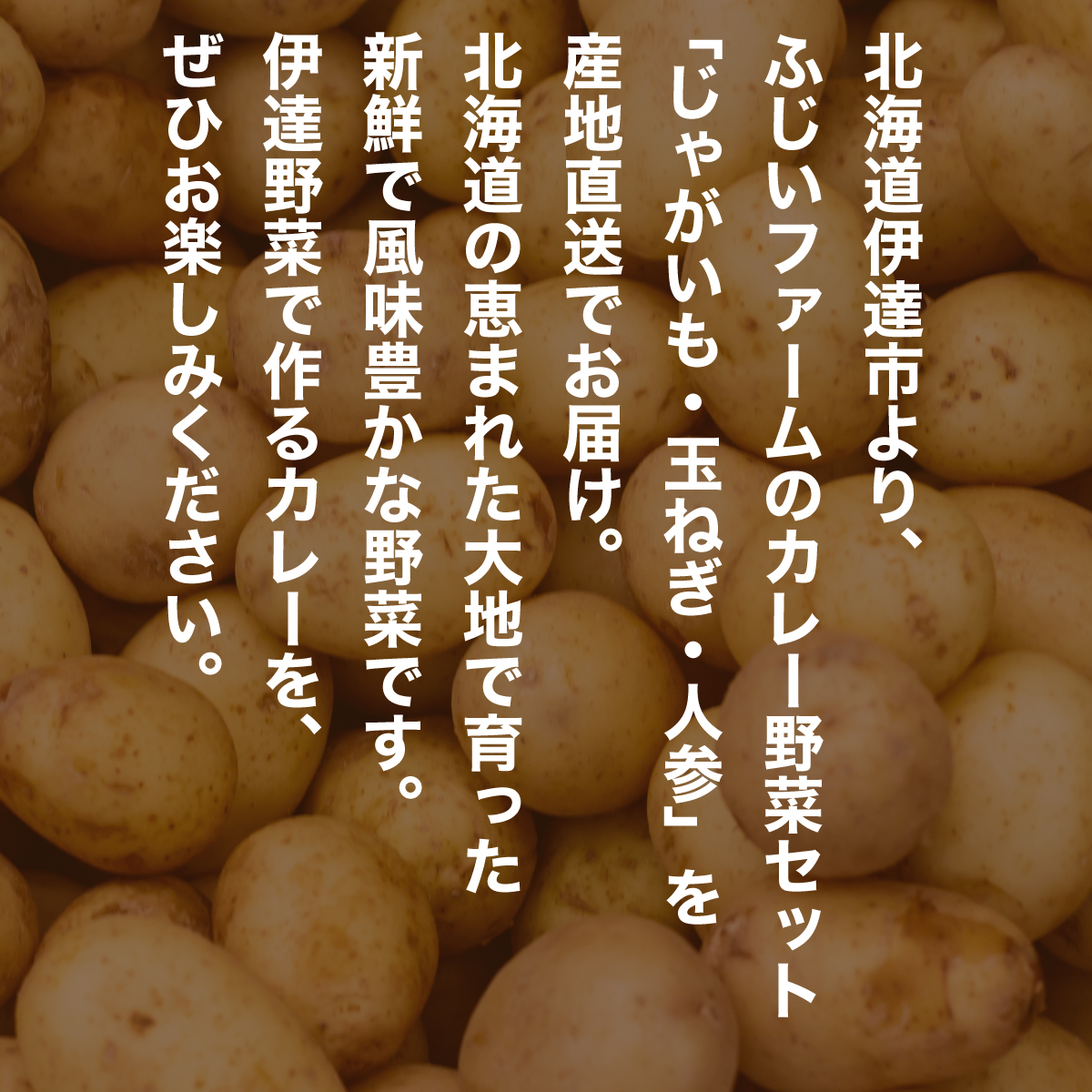 北海道産 カレー 野菜 セット じゃがいも とうや 北あかり 玉ねぎ 人参 ジャガイモ 馬鈴薯 ポテト 玉葱 タマネギ ニンジン 先行受付 産地直送 野菜 農作物 ふじいファーム  送料無料