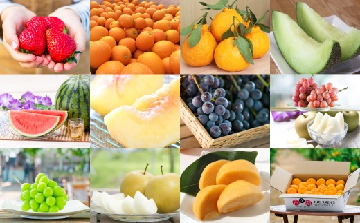 【12ヶ月定期便】熊本フルーツ定期便12カ月 フルーツ 果物 くだもの いちご 金柑 不知火 メロン すいか スイカ 桃 もも キウイ キウイフルーツ ブルーベリー ジャム ぶどう ブドウ 梨 マスカット シャインマスカット 柿 みかん