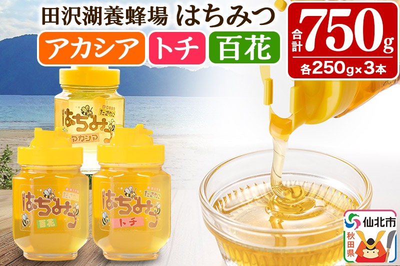 秋田県産はちみつ（アカシア・トチ・百花）250g×各1本 合計750g 化粧箱入り 詰め合わせセット 田沢湖養蜂場 [蜂蜜 はちみつ ハチミツ 国産 アカシア アカシヤ]|02_tyj-231101