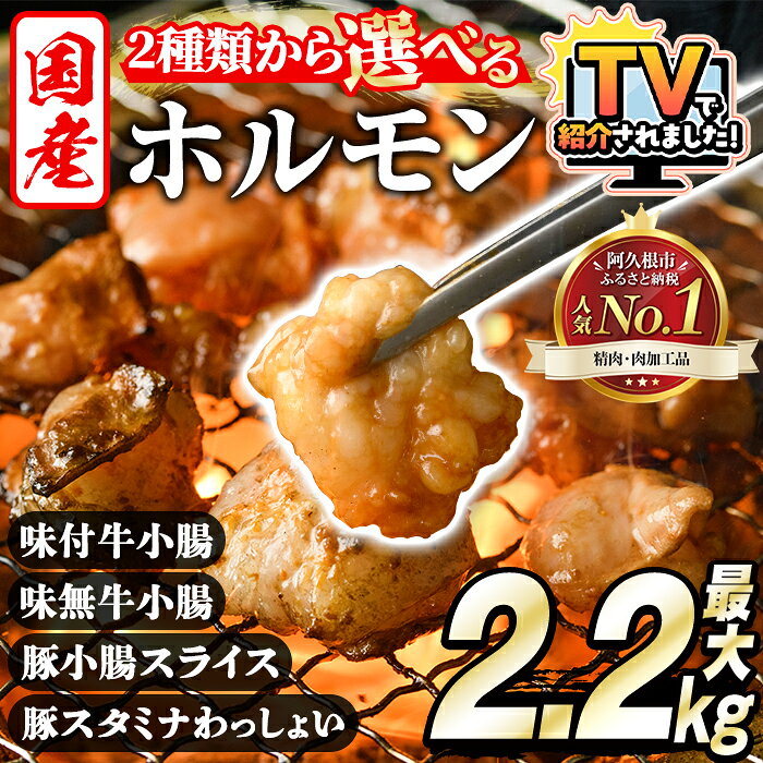 ＜選べる3種＞ホルモン(牛×豚ホルモン4種 合計2.2kg/牛ホルモン2種 合計2kg/牛ホルモン 計5kg) 大容量 国産 小腸 味付 パック 詰め合わせ 鍋 モツ おかず 小分け 個包装 焼肉【スターゼン】