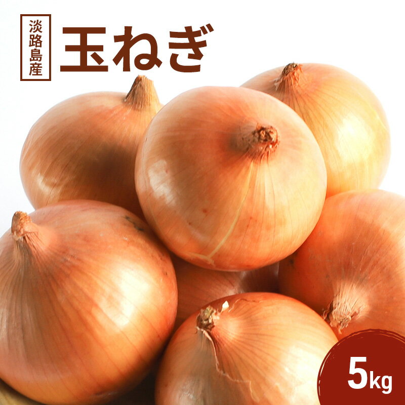 【ふるさと納税】淡路島産 玉ねぎ 5kg たまねぎ タマネギ 甘い 農家直送 兵庫県 洲本市 淡路島