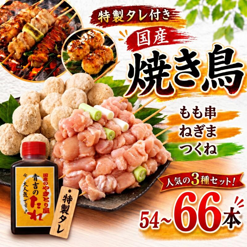 【ふるさと納税】 とり信の特製タレ付き 生 焼き鳥 3種セット 54～66本 国産 鶏肉 もも つくね ねぎま 鶏肉 やきとり 串焼 チキン もも肉 つくね おかず 塩焼き スパイス 照り焼き おつまみ ビール BBQ パーティー イベント 小分け 包装 冷凍 徳島 小松島 とり信