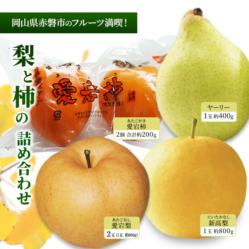 【ふるさと納税】梨 柿 2024年 岡山県赤磐市 フルーツ満喫！ 愛宕梨・新高梨・ヤーリー・愛宕柿 詰め合わせ なし かき 果物　お届け：2025年12月上旬～2025年12月下旬