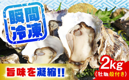 特選 牡蠣三昧！【瞬間冷凍】広島牡蠣　殻付き２kg カキ かき 広島 料理 簡単 魚介類 海鮮 ギフト 広島県産 江田島市/株式会社門林水産[XAO029]