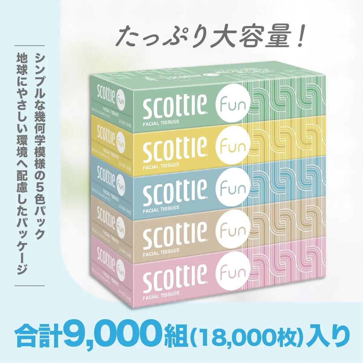 トイレットペーパー ティッシュペーパー 日用品セット2 トイレットペーパー ティッシュ 草加市