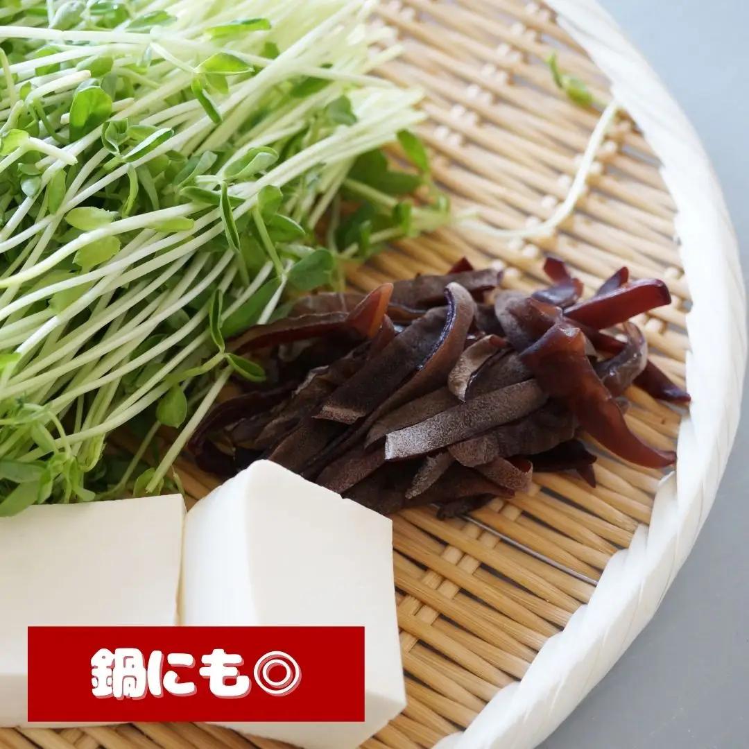 木耳 肉厚生きくらげ　70g×5パック（350g）| 津久見市