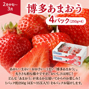 【定期便/年4回】ＪＡむなかた厳選！人気のフルーツ定期便【ほたるの里】_HB0140