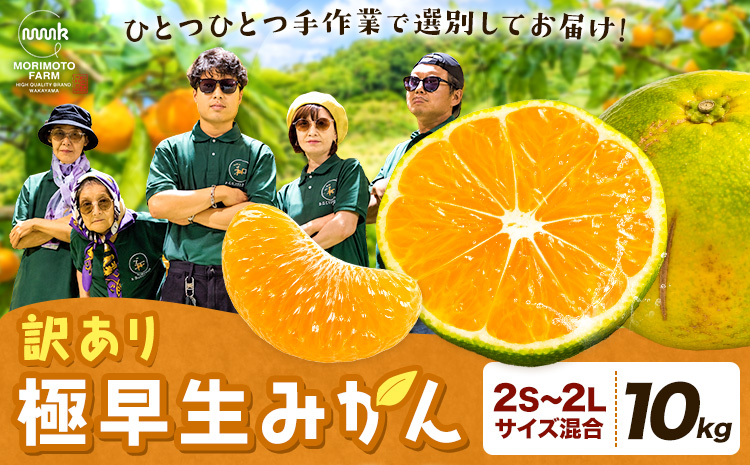 みかん 訳あり 柑橘 極早生 極早生みかん 手選別 2S-2Lサイズ混合 10kg 森本農園《10月上旬-11月上旬頃出荷》和歌山県 日高町 柑橘類 フルーツ わけあり ミカン お取り寄せフルーツ【配送不可地域あり】