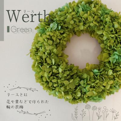 ふるさと納税 美浜町 ブリザーブドフラワー　リース &lt;グリーン&gt;23cm