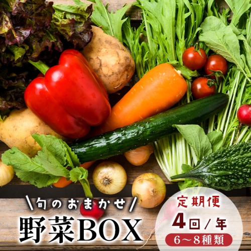 【4回定期便】 京都 舞鶴 季節の野菜BOX 詰め合せ セット 6～8種類 年4回 定期便 ： 季節の野菜 旬の野菜 旬野菜 新鮮 京野菜 食品 冷蔵 八百屋 厳選 産地直送 やさい ベジタブル ボックス 野菜セット