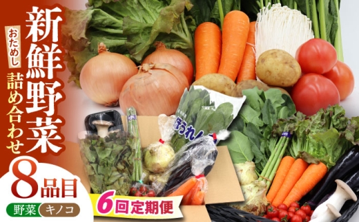 野菜 定期便【6回定期便】お試し野菜セット 8品目 詰め合わせ / 野菜 やさい ヤサイ 旬 新鮮 野菜 やさい ヤサイ 旬 新鮮 野菜定期便 やさい定期便 季節 旬 野菜 きのこ 野菜 詰め合わせ 国産 定期便 野菜セット 新鮮 野菜詰め合わせ サラダ スープ 炒め物 煮物 旬野菜 おまかせセット お任せ 産地直送 やさい 春野菜 夏野菜 秋野菜 / 南島原市 / 吉岡青果 [SCZ029]