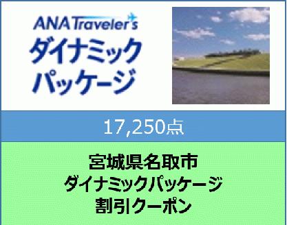 宮城県名取市　ANAトラベラーズダイナミックパッケージ割引クーポン（17,250点分）