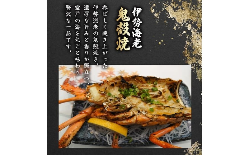 活 伊勢海老 訳あり 500g(1～3匹) 冷蔵 – 活き伊勢海老 訳あり 室戸産 国産 エビ えび 海鮮 魚介 産地直送 プリプリ 味噌汁 刺身 焼き物 汁物 室戸海洋深層水 黒潮 高知県 室戸市 