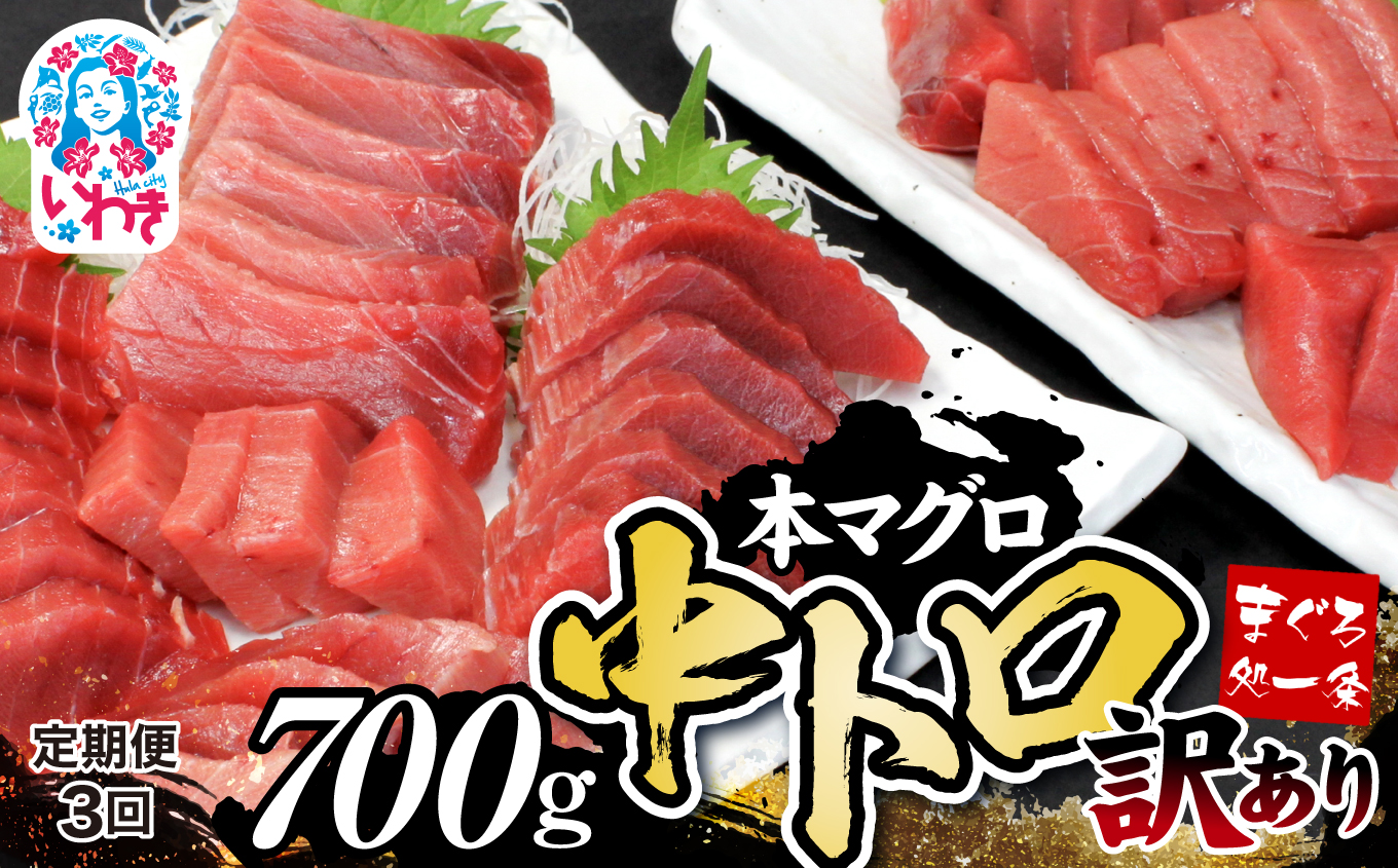 【定期便/計3回】本マグロ訳あり中トロ700g（計2.1kg）【DG008-t3】|いわき市 ふるさと納税 株式会社東日本貿易 鮪 本鮪 本まぐろ マグロ トロ とろ 刺し身 さしみ さかな 海鮮 寿司 解凍レシピ付