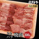 【ふるさと納税】飛騨牛 / (バラ肉) 2種入り 焼肉 300g もも肉 A5等級 ブランド牛 和牛 焼肉セット 朝日屋 JX011