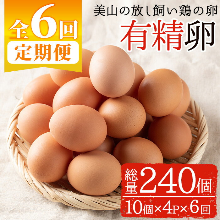 【ふるさと納税】＜定期便・全6回(連続)＞鹿児島県産有精卵(40個×6ヶ月連続) 国産 九州産 たまご 有精卵 卵 鶏卵 定期便 頒布会【美山たまご王国】